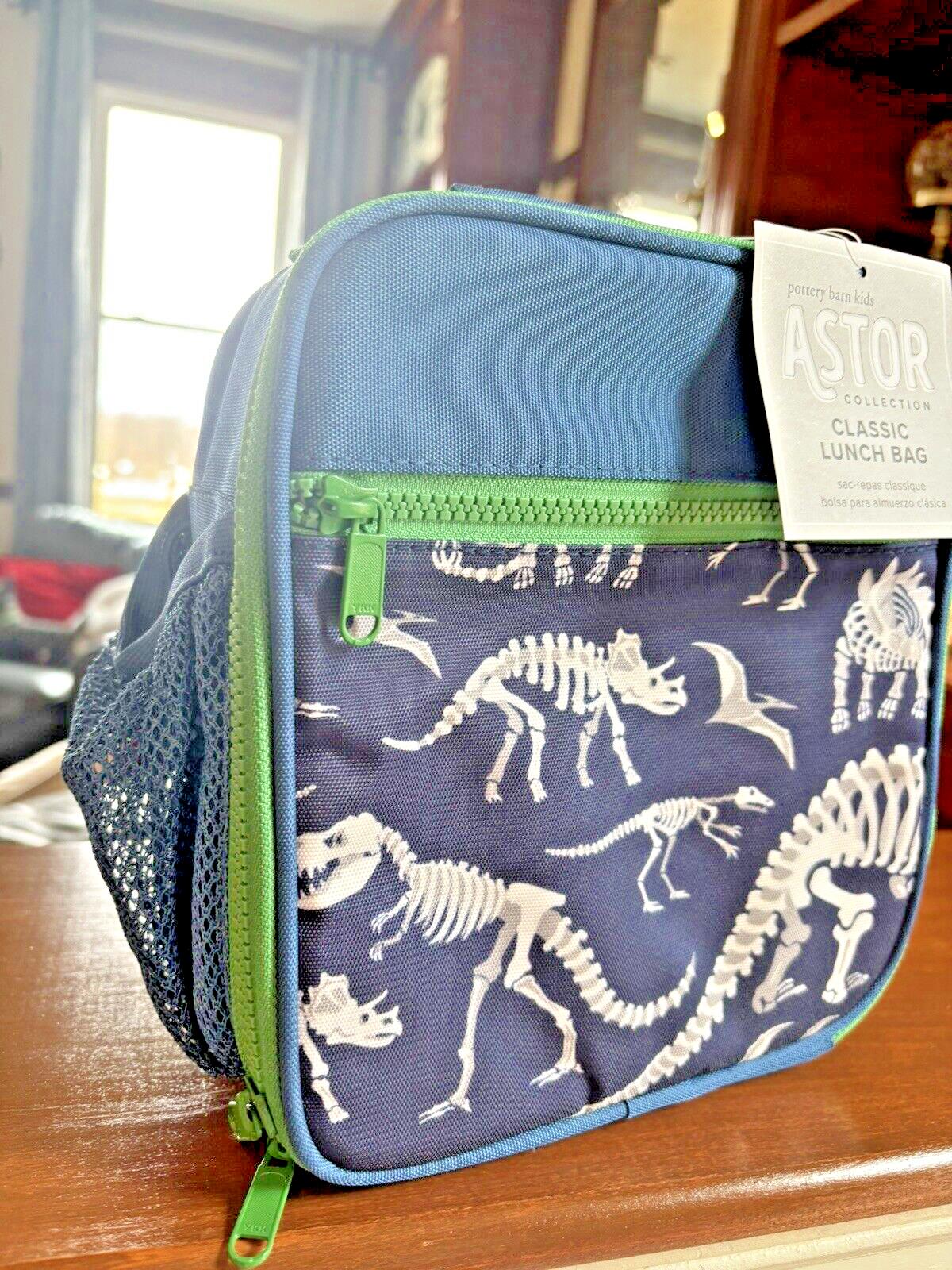 Pottery barn Disney School boy Dinosaur travel Lunch Bag Jurassic gift set kid /