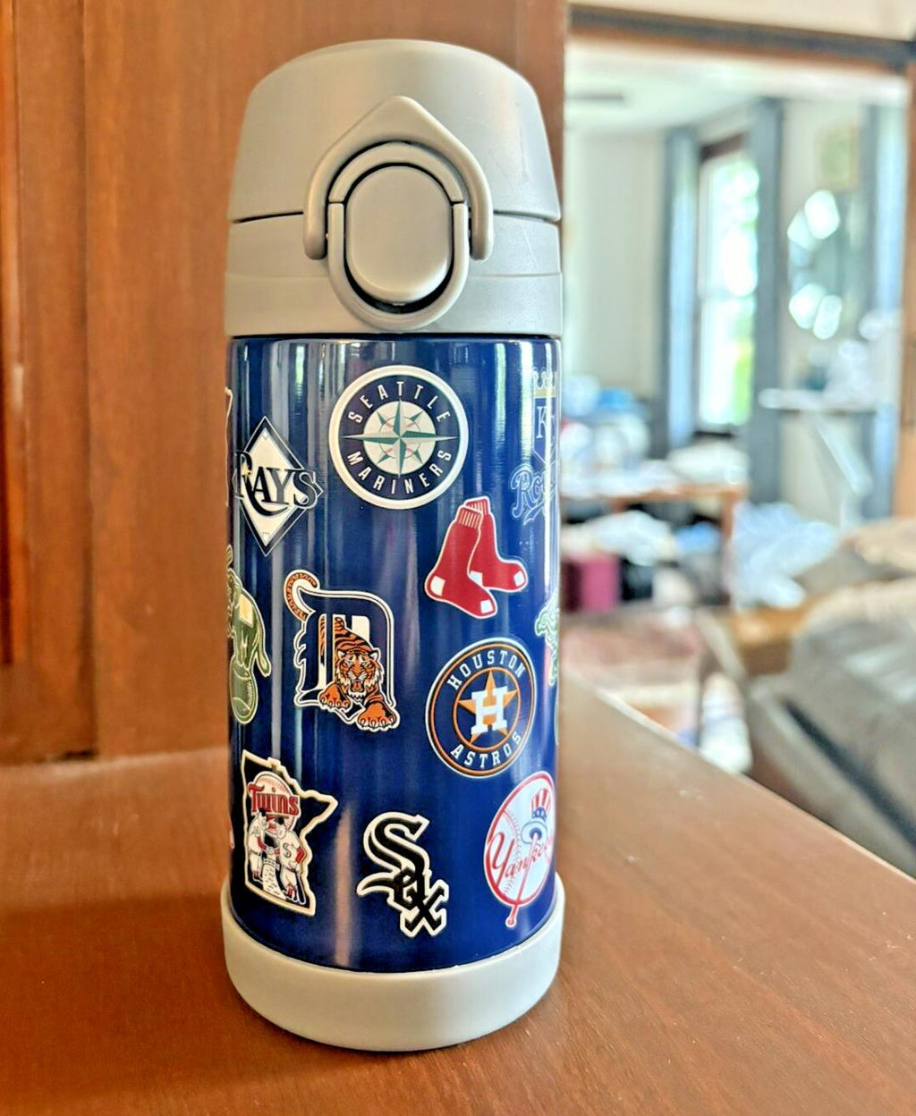 Pottery barn Baseball MLB WATER BOTTLE ball school sport pool holiday team n