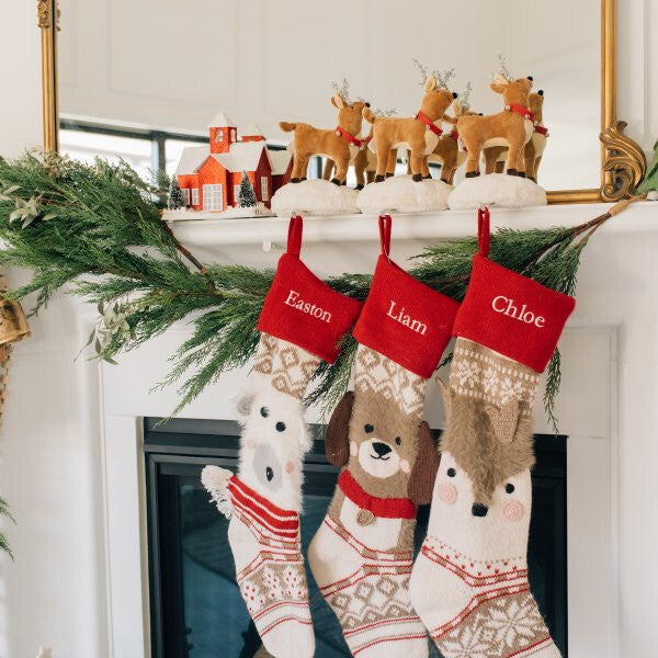 Pottery Barn Disney Christmas stocking holder hanger RUDOLPH REINDEER kid [