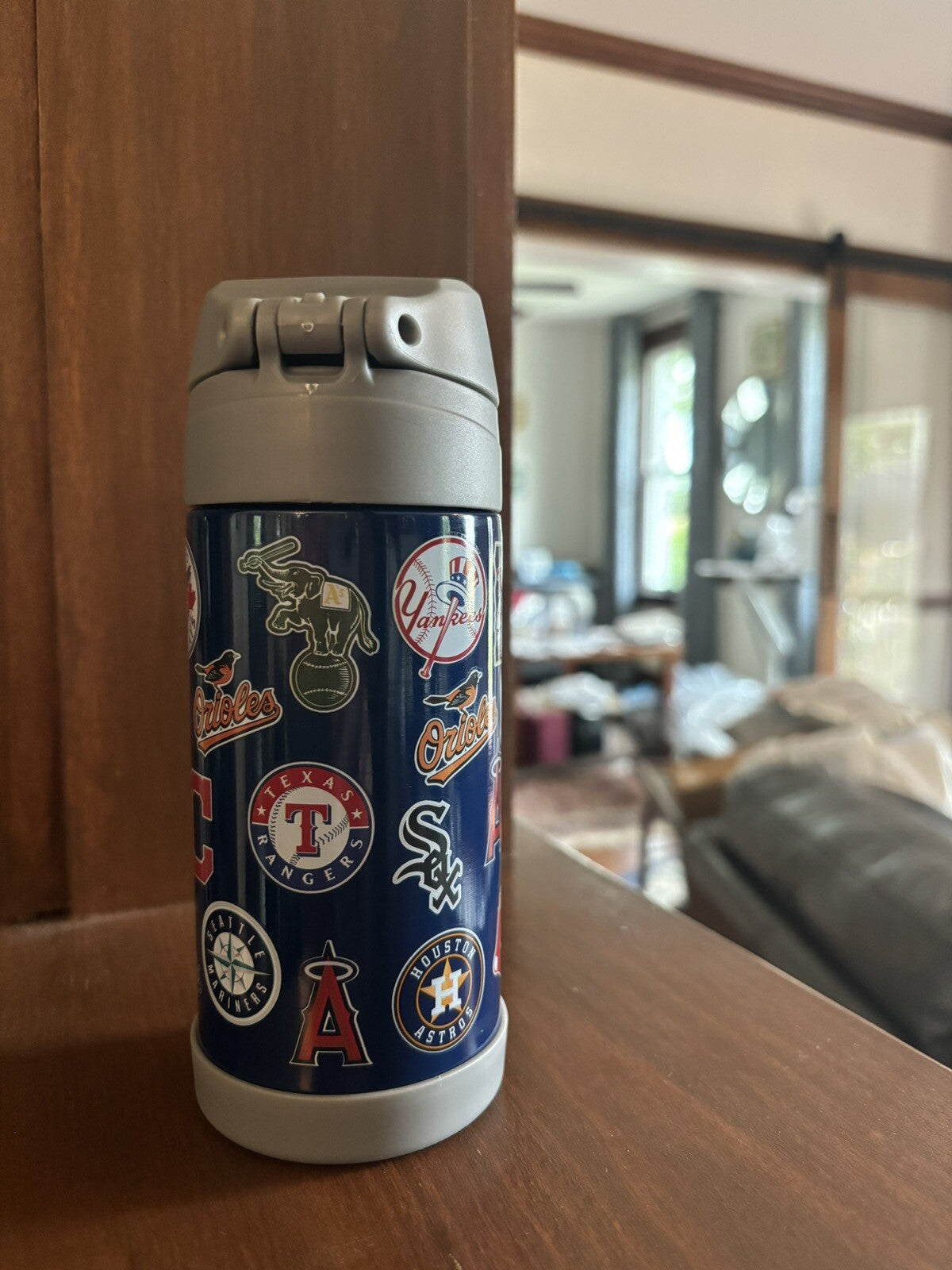 Pottery barn Baseball MLB WATER BOTTLE ball school sport pool holiday team n