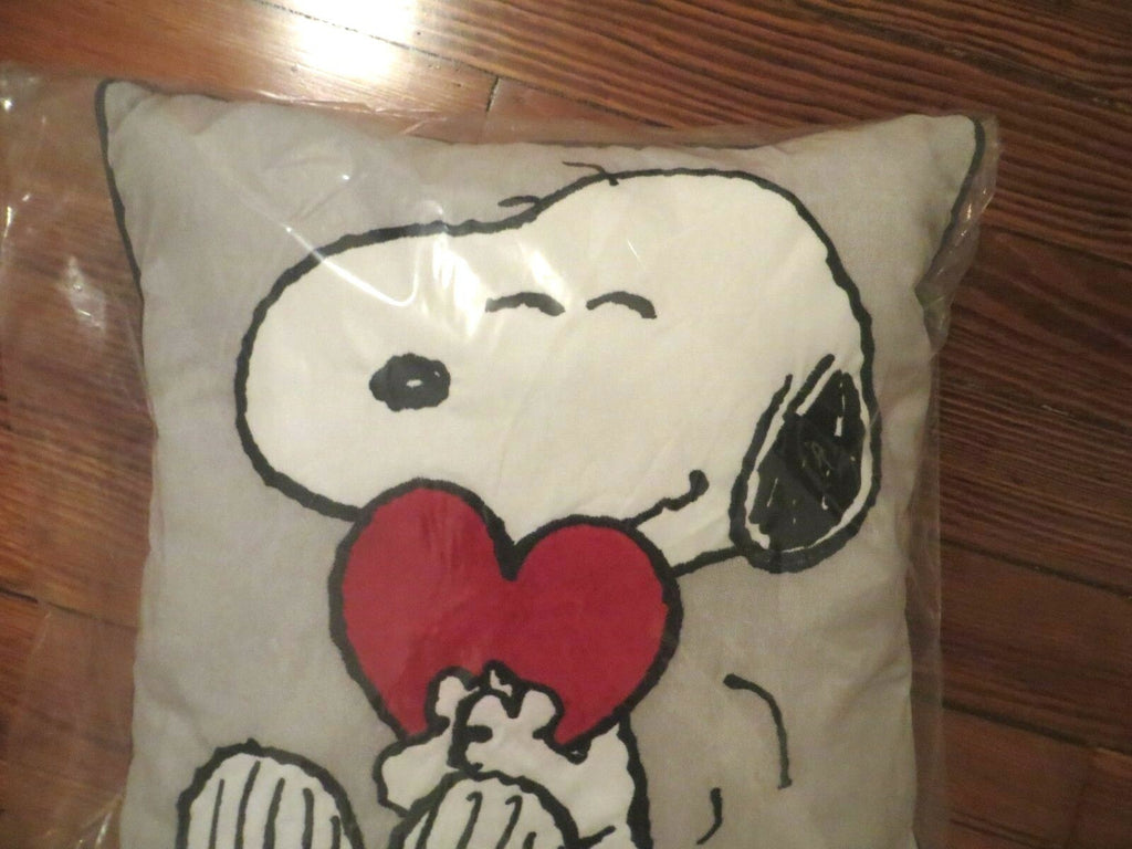 Disney Pottery Barn Snoopy Peanuts Rainbow party school kid Dog Pillow gift ]
