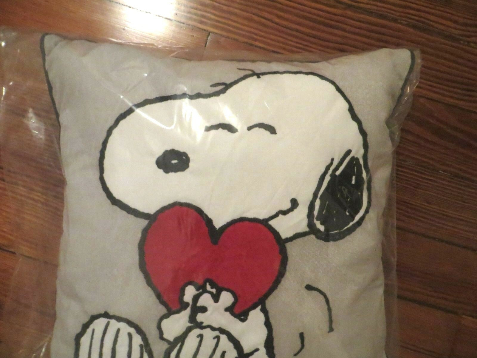 Disney Pottery Barn Snoopy Peanuts Rainbow party school kid Dog Pillow gift ]