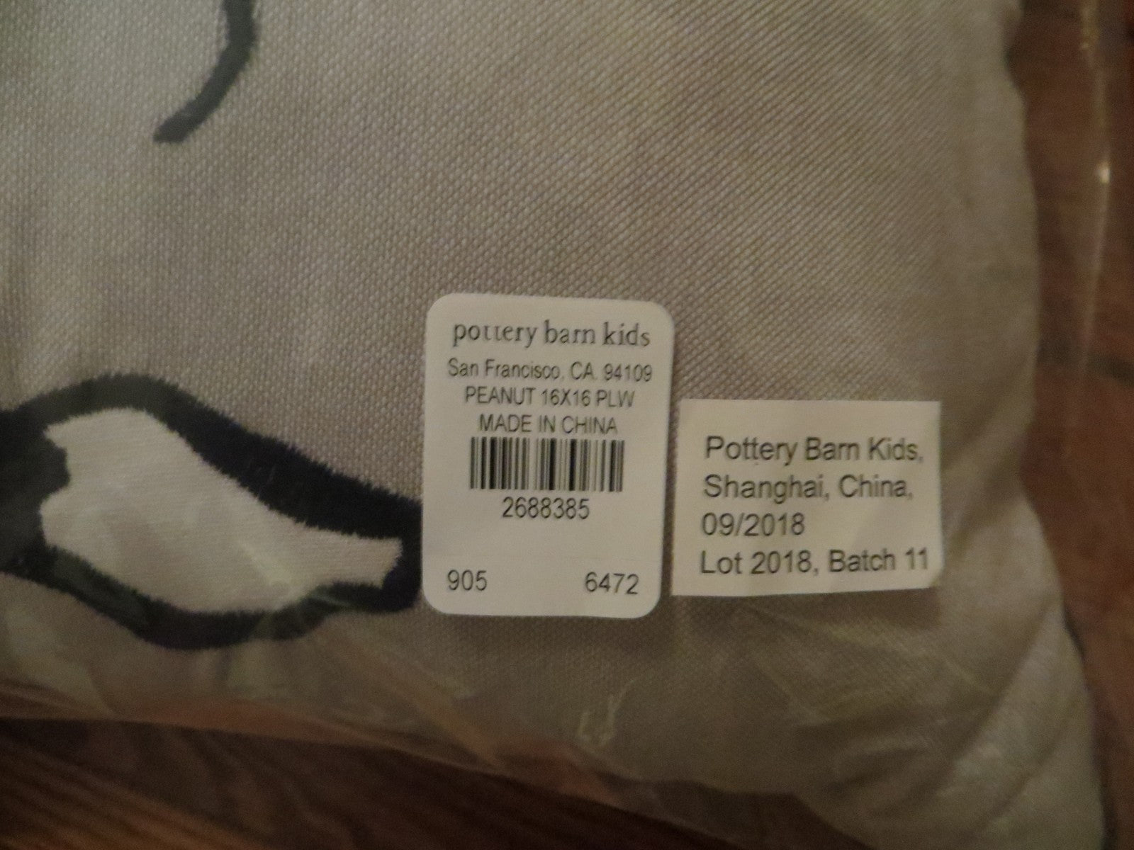 Disney Pottery Barn Snoopy Peanuts Rainbow party school kid Dog Pillow gift ]
