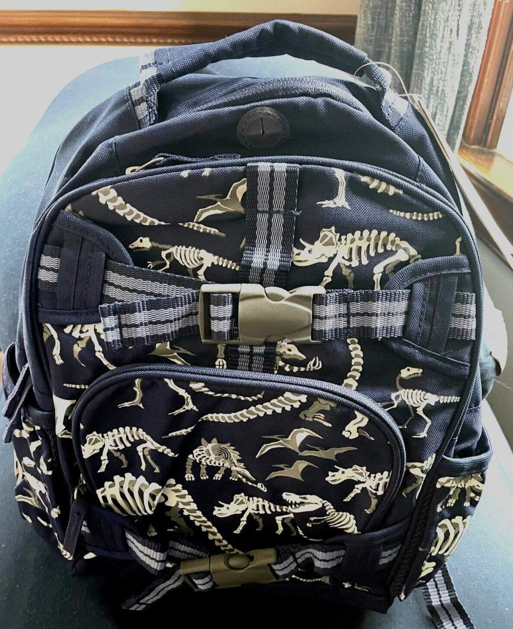 Pottery Barn school Disney LARGE Backpack Dinosaur space Jurassic boy travel ??/