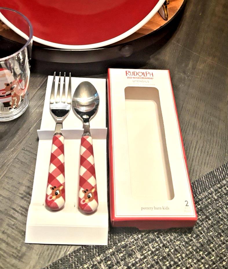 Pottery Barn Rudolph holiday Santa Christmas UTENSIL Plaid party School kid SET