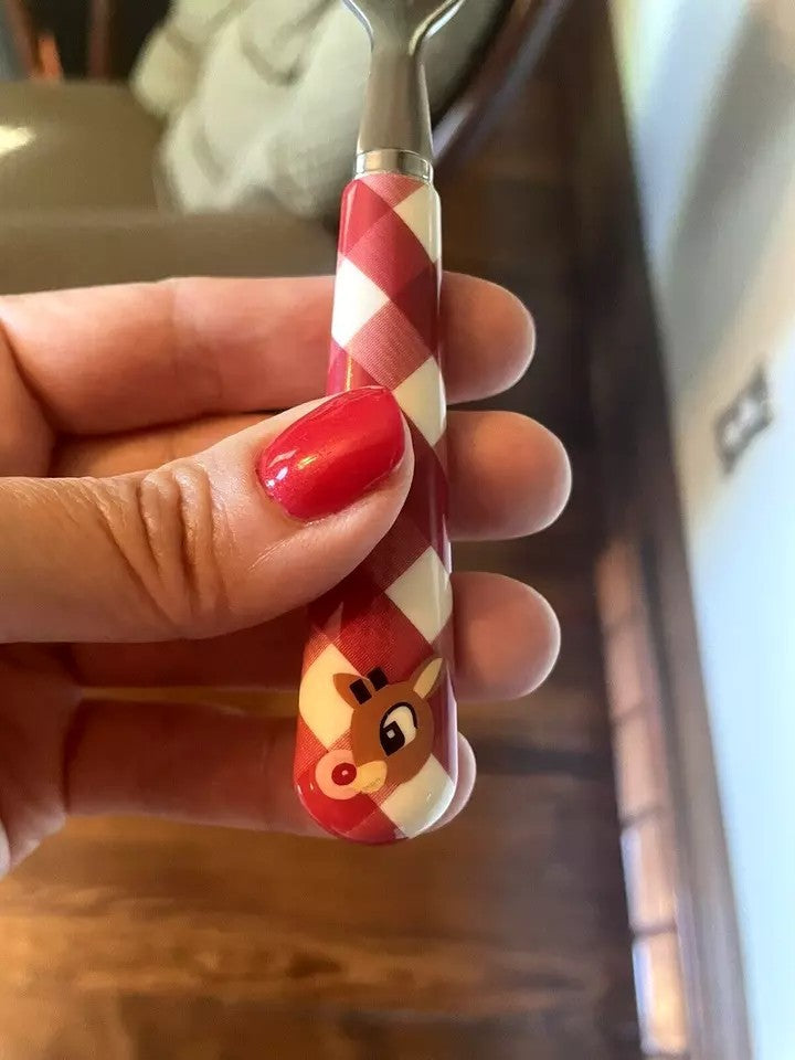Pottery Barn Rudolph holiday Santa Christmas UTENSIL Plaid party School kid SET