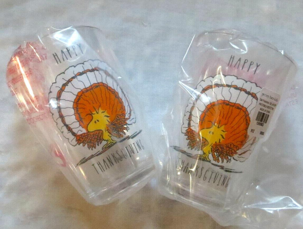 Disney Snoopy Pottery Barn peanuts Holiday party Thanksgiving gift kid SET 2 \