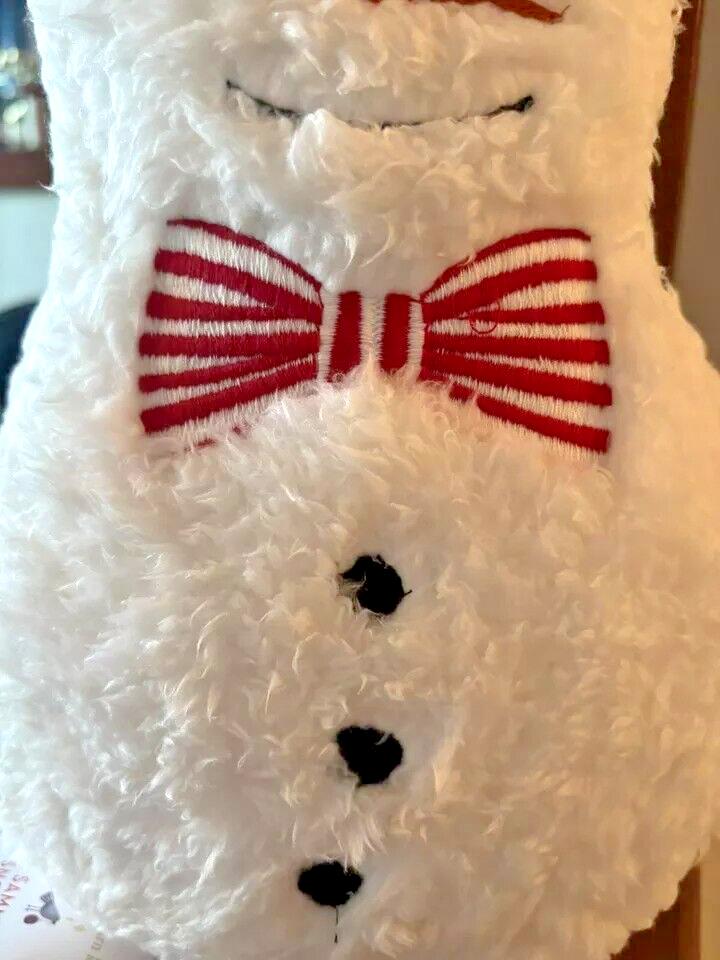 pottery barn Holiday Christmas Snowman frosty bumble Disney gift party kids \