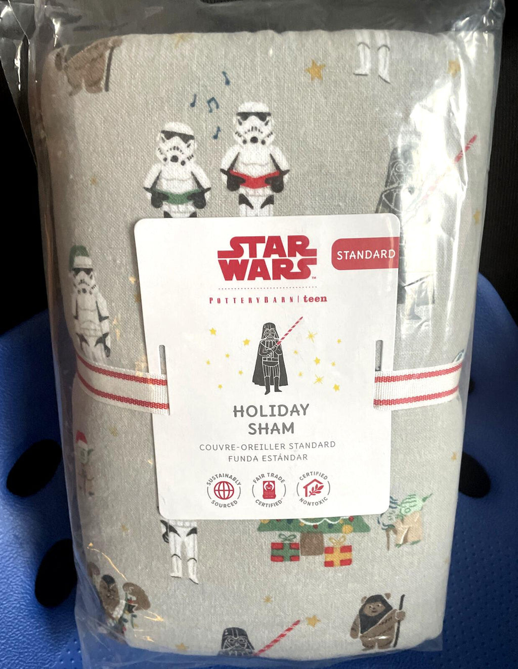 Pottery Barn Disney Star Wars Solo PILLOW SHAM holiday gift space boy grogu
