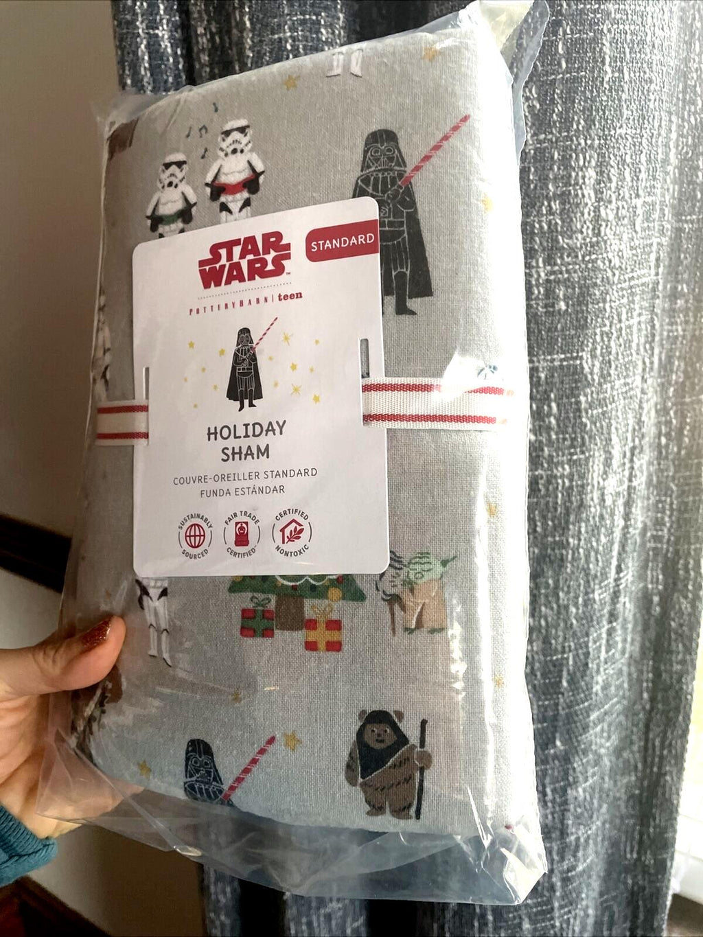 Pottery Barn Disney Star Wars Solo PILLOW SHAM holiday gift space boy grogu