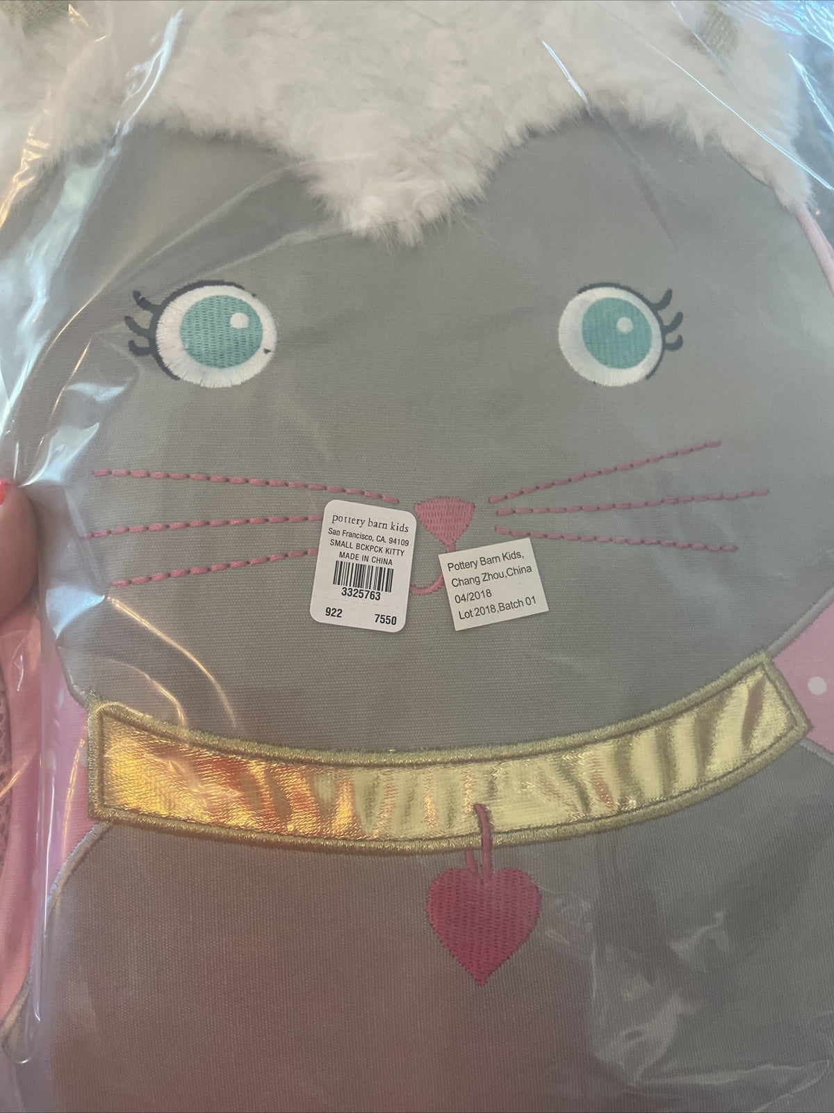 Disney School Pottery barn PRE K Backpack princess Lunch travel bag girl  ?? .