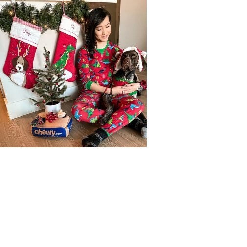 Pottery Barn Holiday Christmas stocking dog gift party school star pet Disney ]