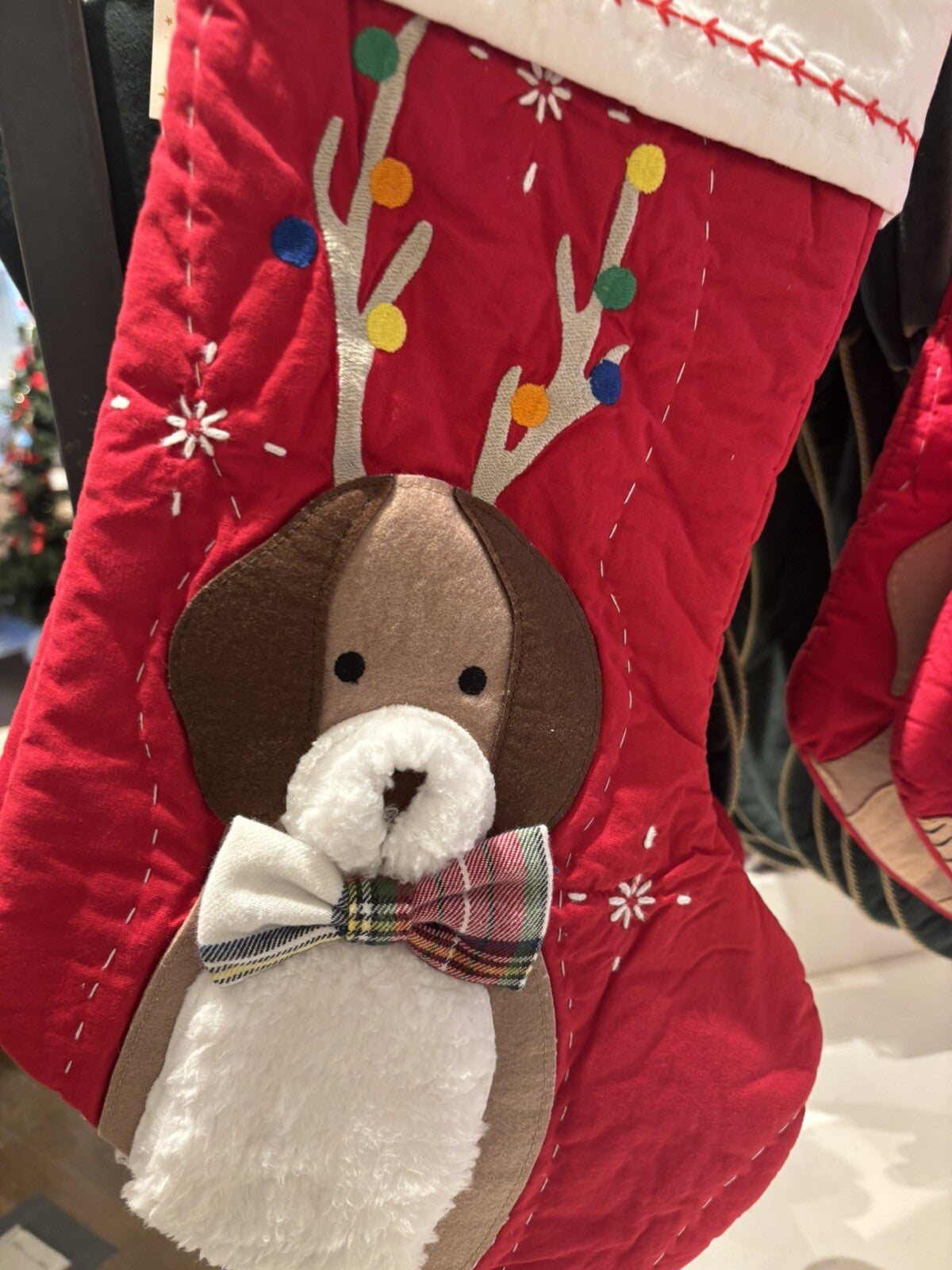 Pottery Barn Holiday Christmas stocking dog gift party school star pet Disney ]