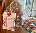 Pottery Barn holiday Christmas Rudolph Gingerbread Disney Santa Pillow gift SET