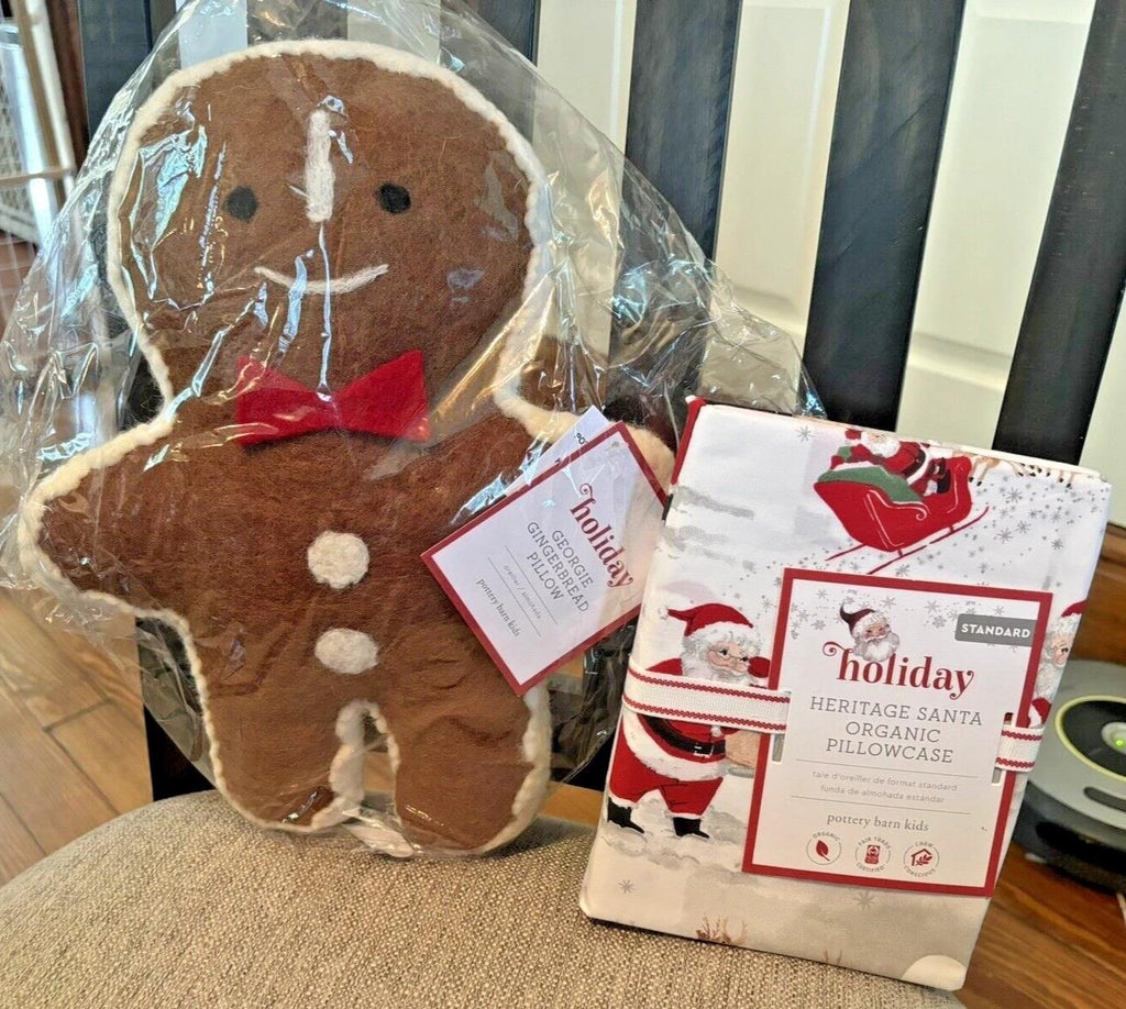 Pottery Barn holiday Christmas Rudolph Gingerbread Disney Santa Pillow gift SET
