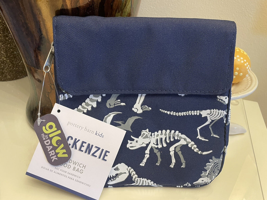 Pottery Barn Dinosaur Sandwich bag Dino bones school boy lunch snack glow dark .