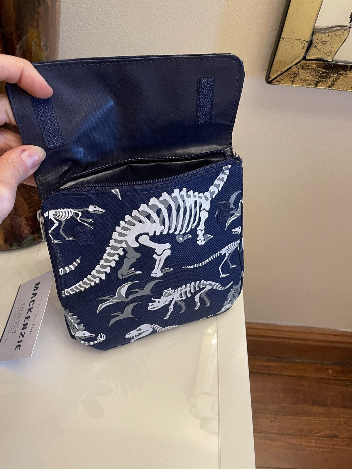 Pottery Barn Dinosaur Sandwich bag Dino bones school boy lunch snack glow dark .