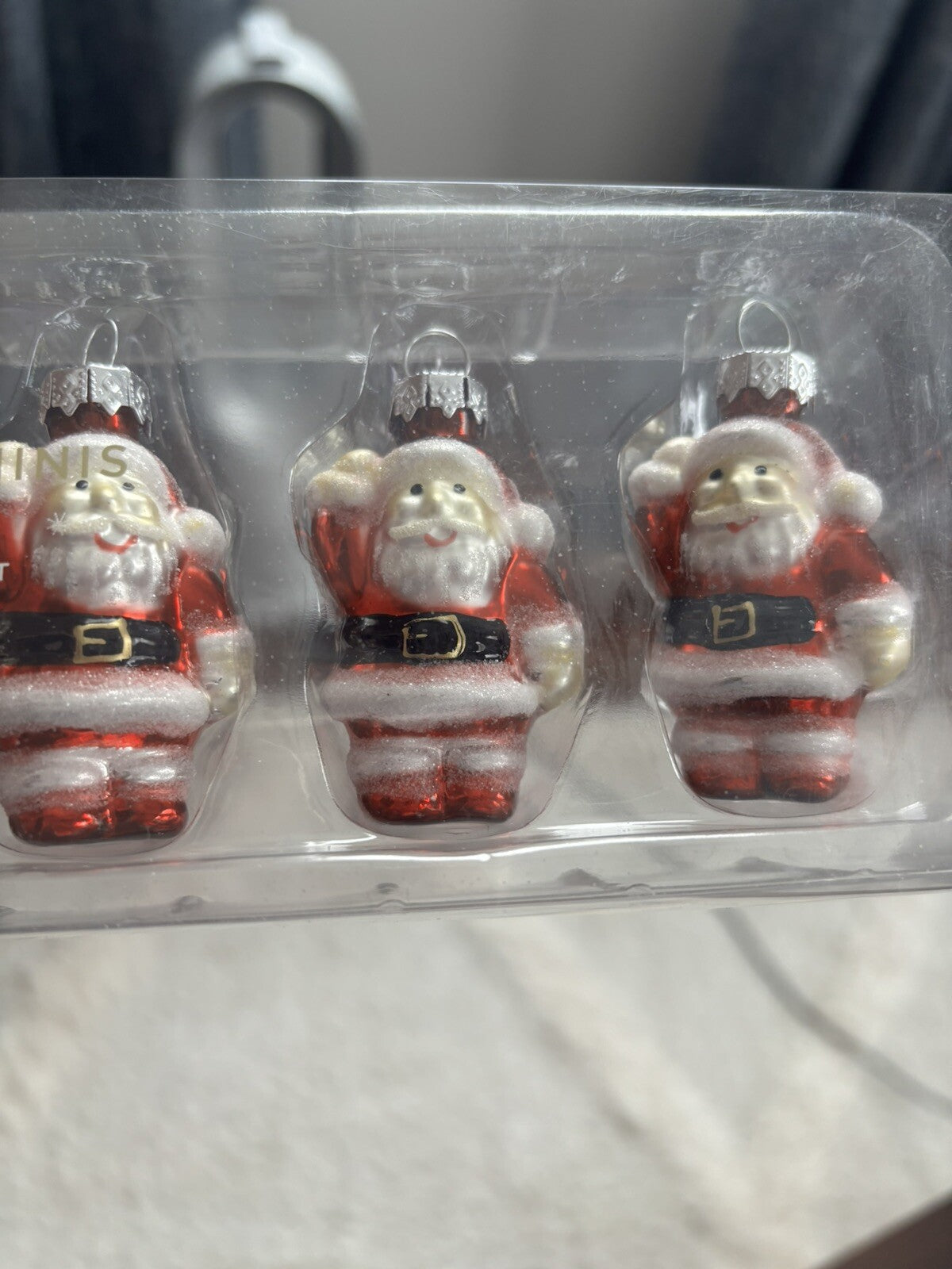 pottery barn holiday ornament Christmas dog gift school santa party disney SET n