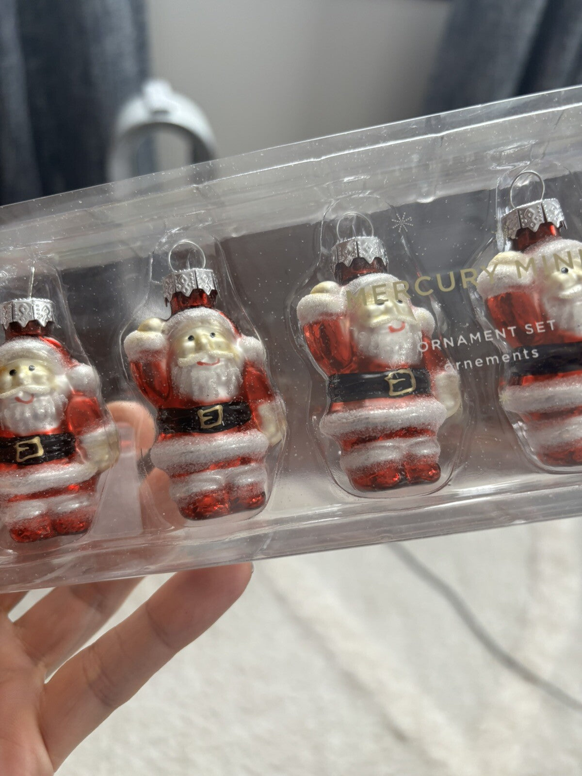 pottery barn holiday ornament Christmas dog gift school santa party disney SET n