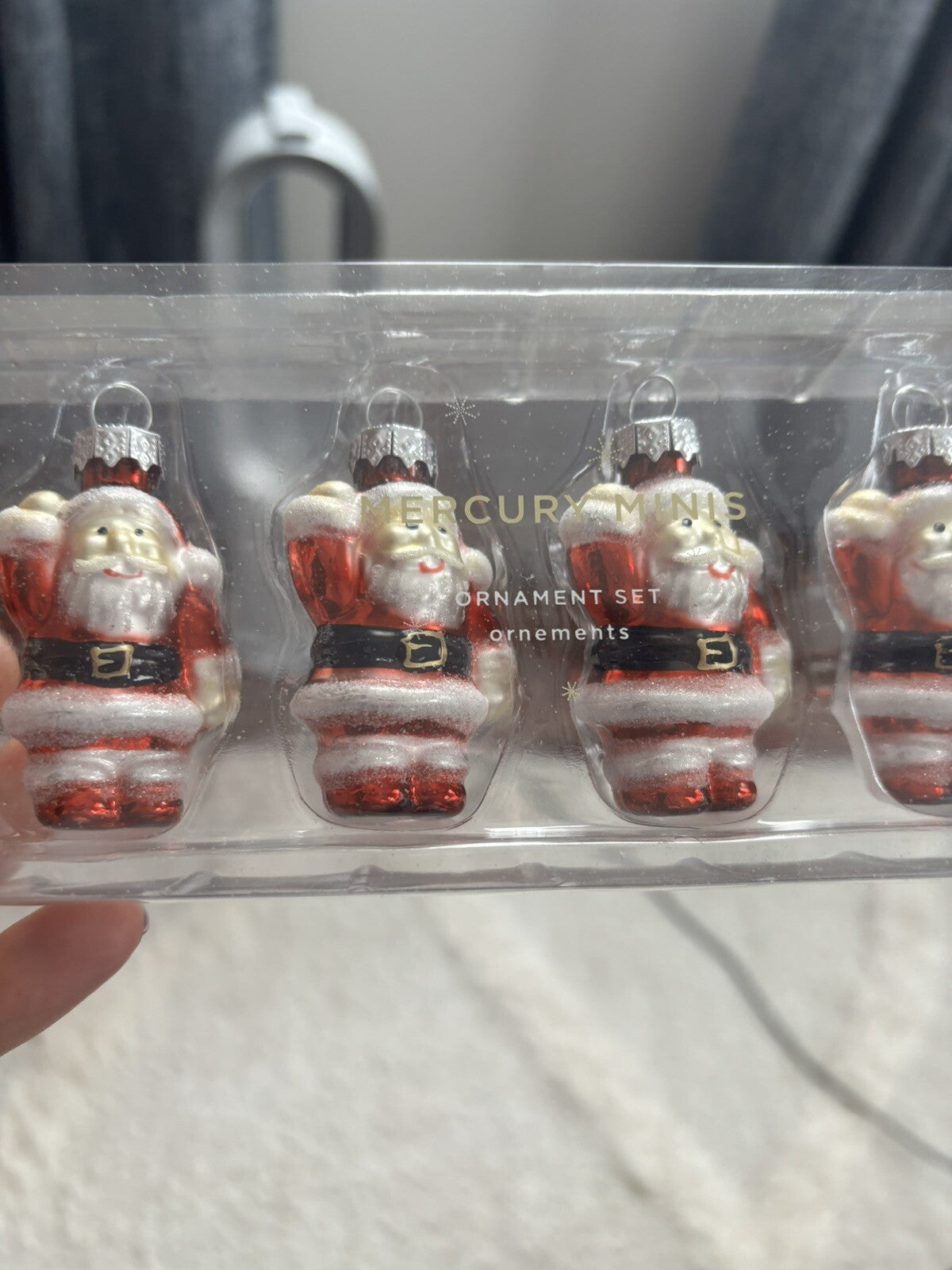pottery barn holiday ornament Christmas dog gift school santa party disney SET n