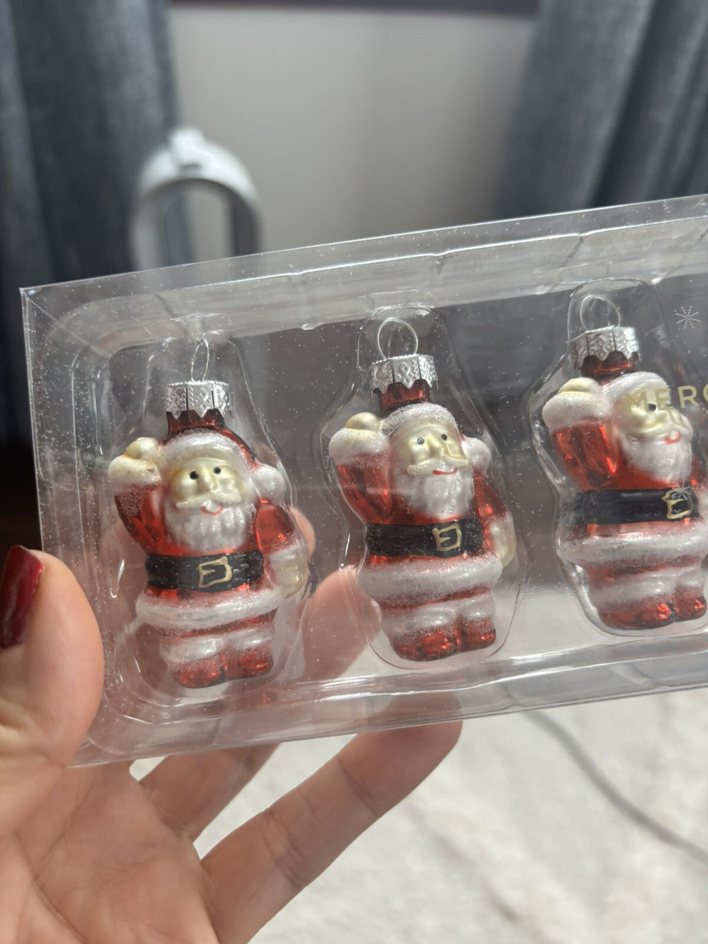 pottery barn holiday ornament Christmas dog gift school santa party disney SET n