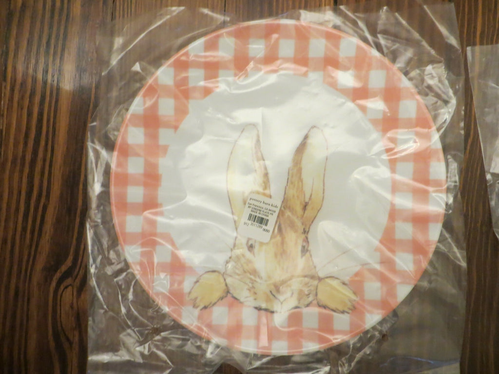 Pottery Barn Disney holiday PLATE Peter rabbit Easter bunny gift garden party !