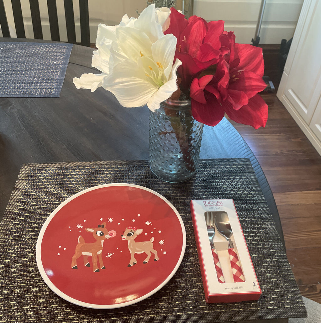 Pottery Barn Rudolph holiday Reindeer Christmas Plate disney gift party kid