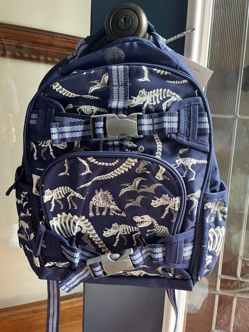 Pottery barn School Disney Dinosaur Backpack+ICE bag Large holiday gift
