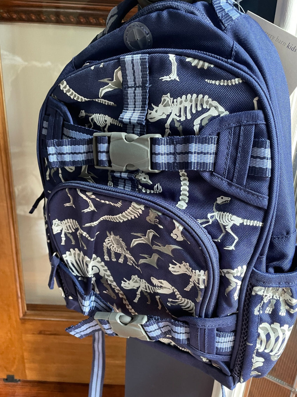 Pottery barn School Disney Dinosaur Backpack+ICE bag Large holiday gift