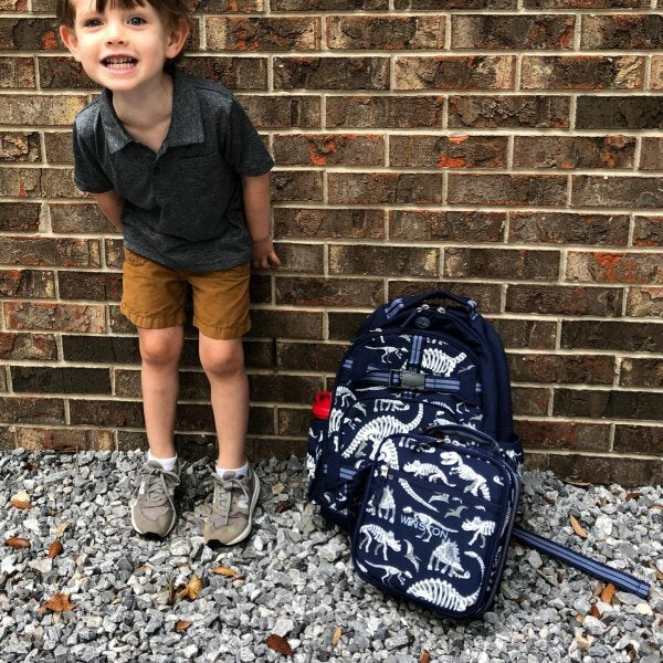 Pottery barn School Disney Dinosaur Backpack+ICE bag Large holiday gift