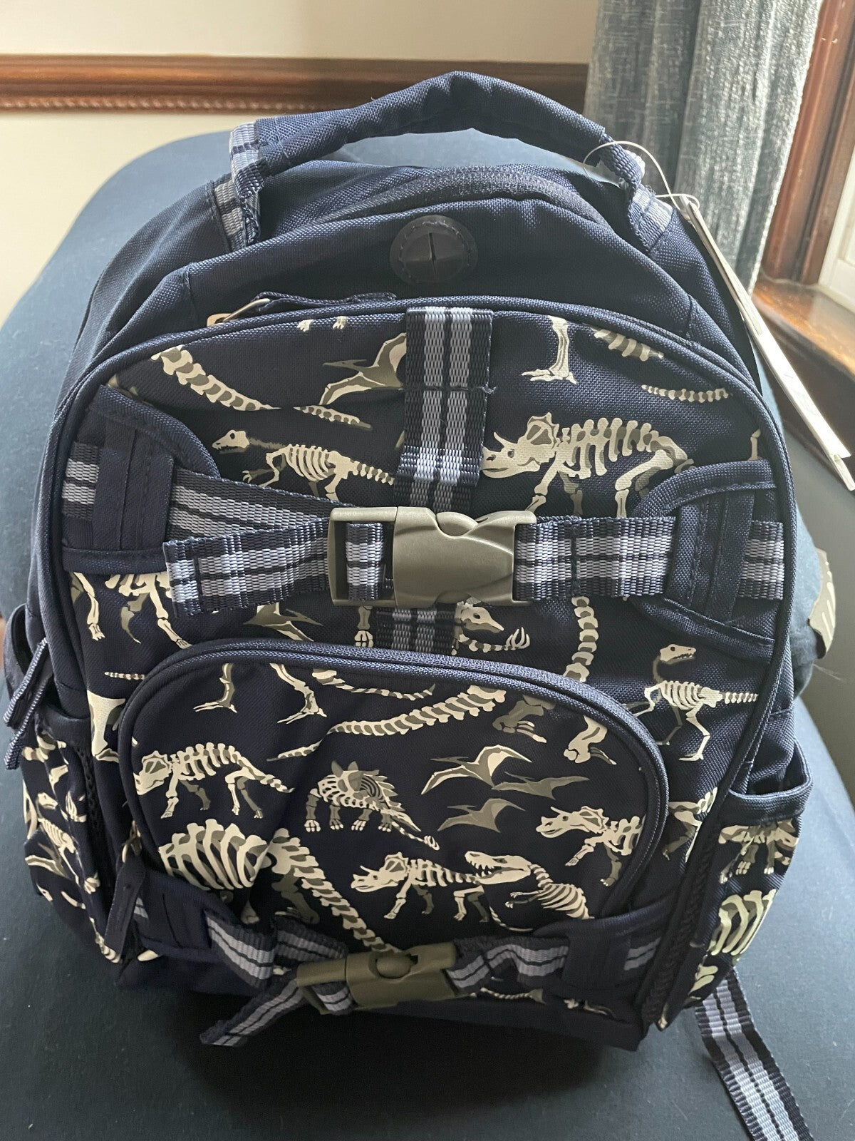 Pottery barn School Disney Dinosaur Backpack+ICE bag Large holiday gift