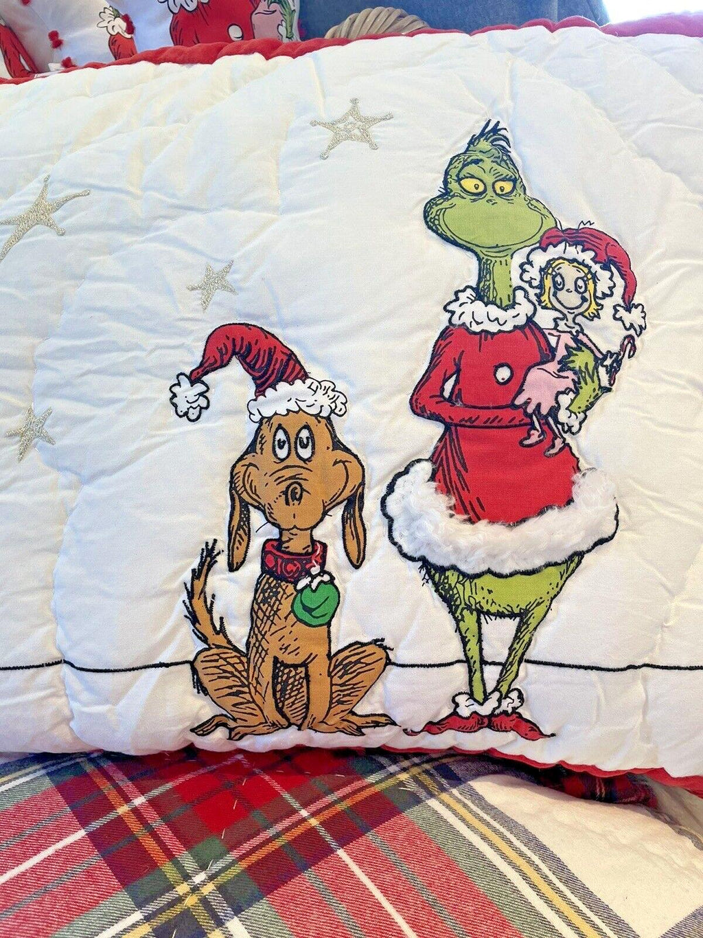 Pottery Barn Grinch Christmas pillow Sham Dr Seuss Disney Holiday party kid n