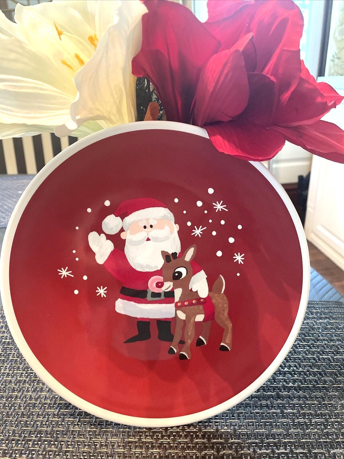 Rudolph Pottery Barn plate holiday party Santa Bumble Christmas Disney kid SET n