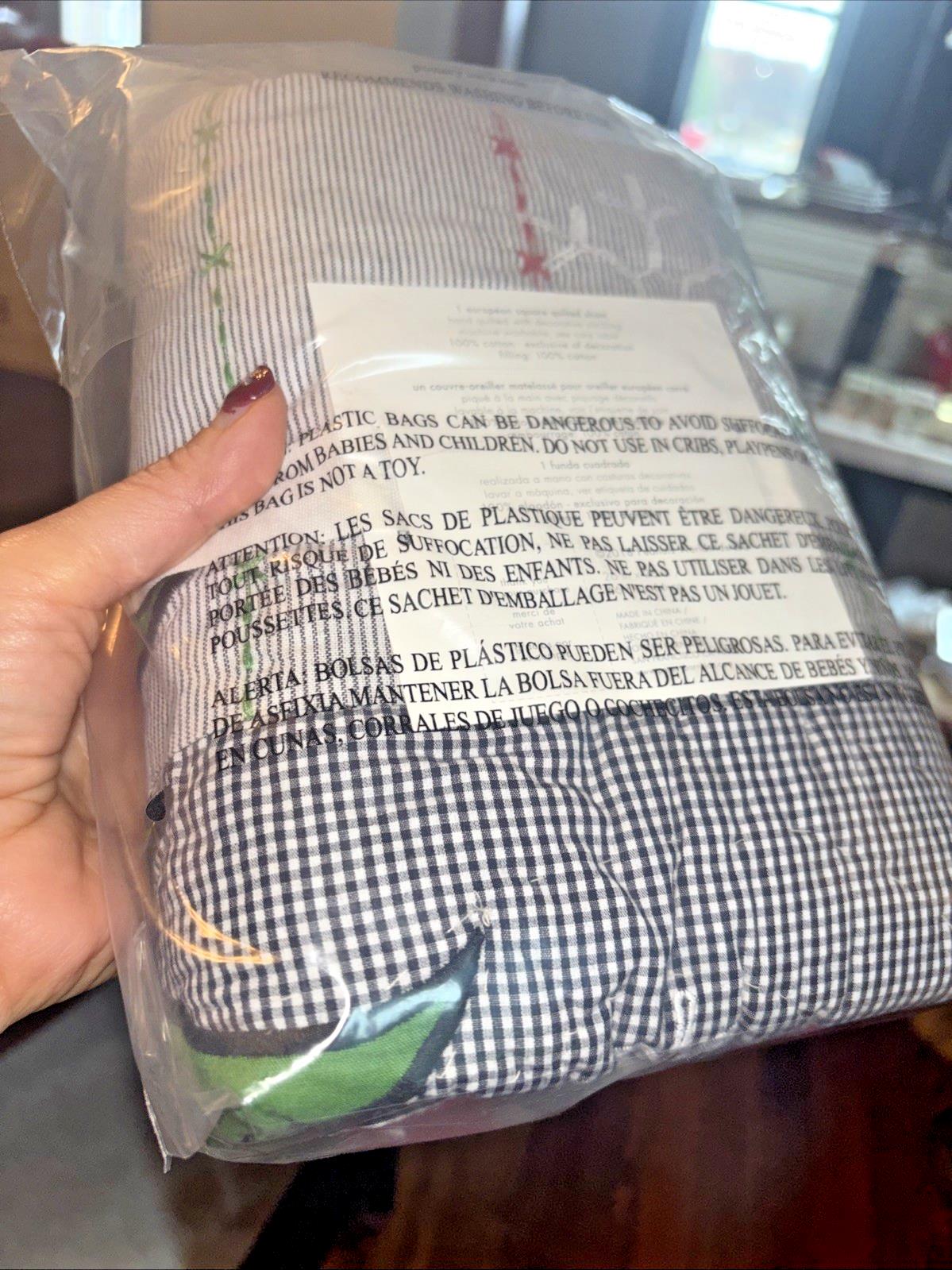 Pottery barn Peanuts Holiday Snoopy pillow SHAM Christmas gift Disney kid gift \
