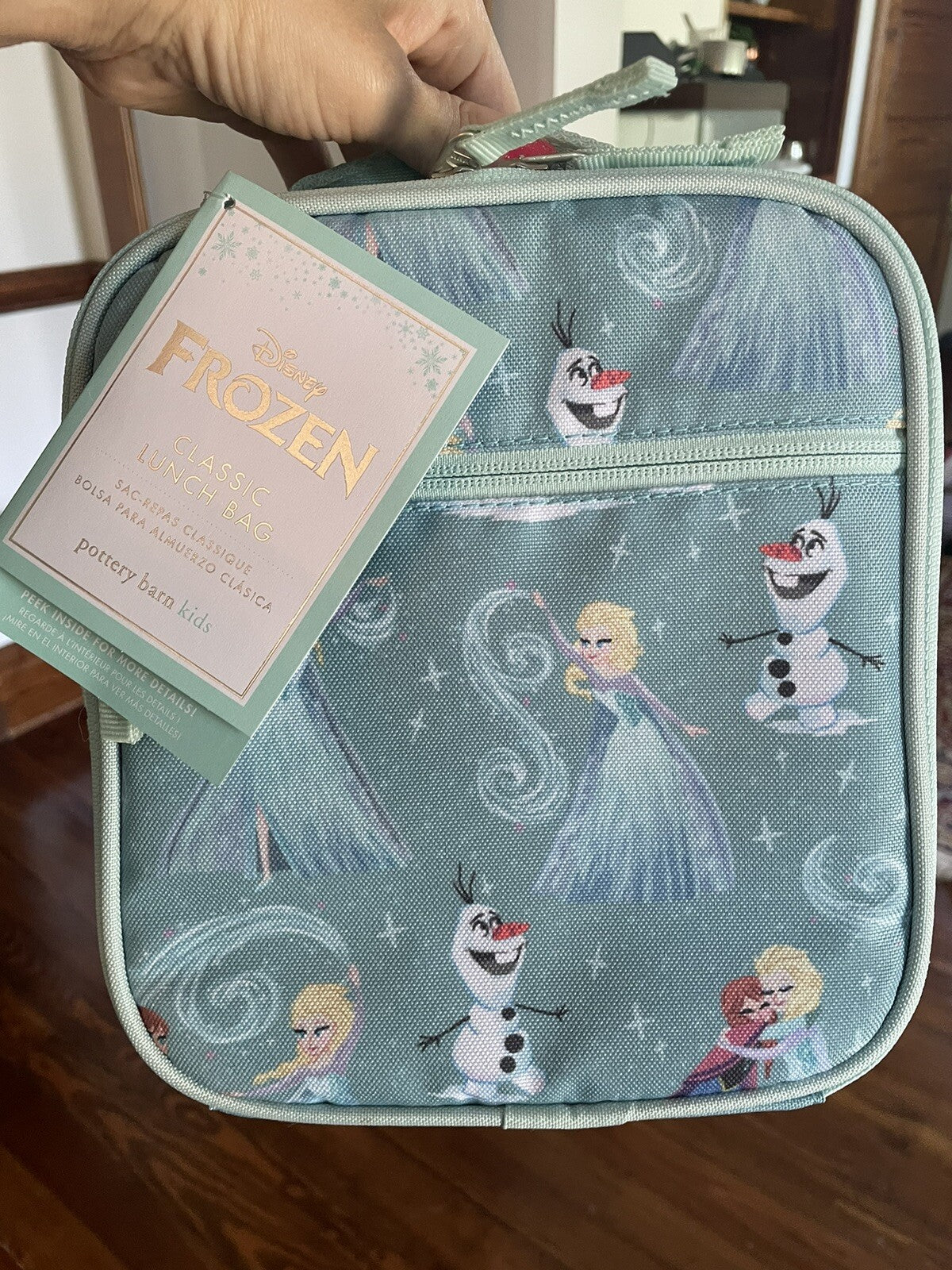 Pottery barn Disney School FROZEN Lunch box ELSA girl princess Travel Bag gift .