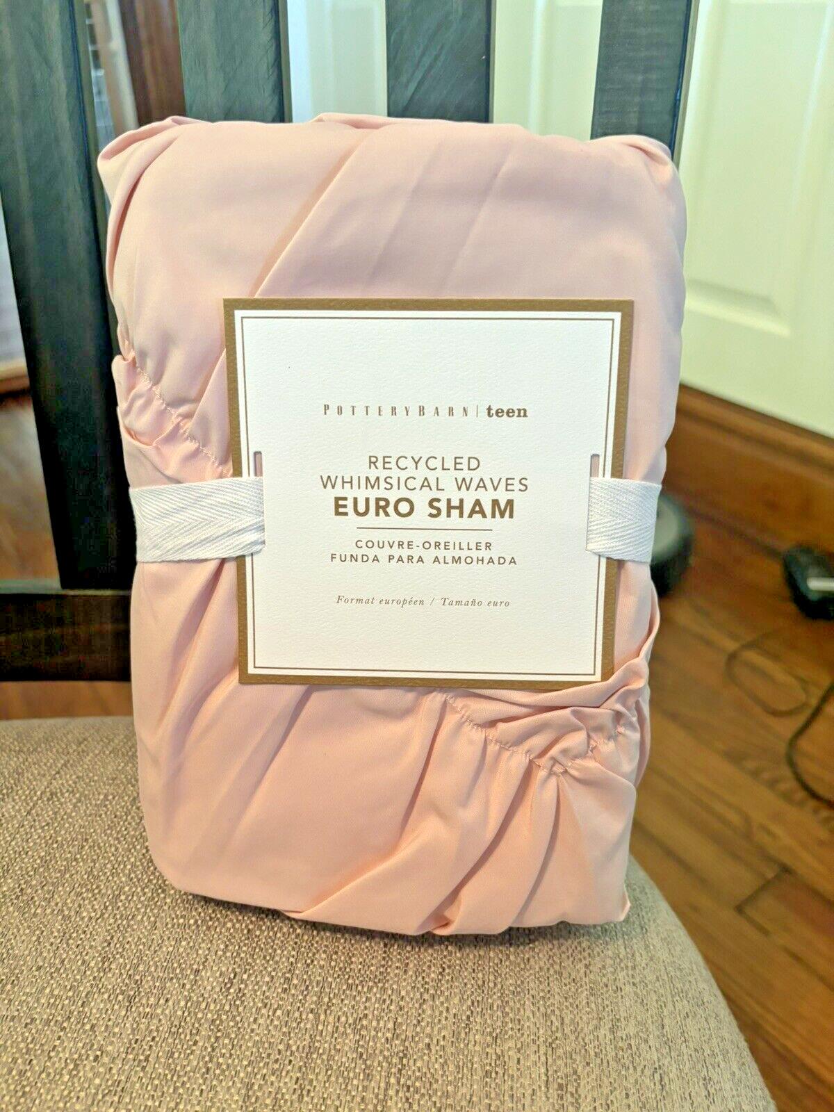 Pottery Barn holiday pillow sham +Mickey Mouse floral Disney princess pink SET -