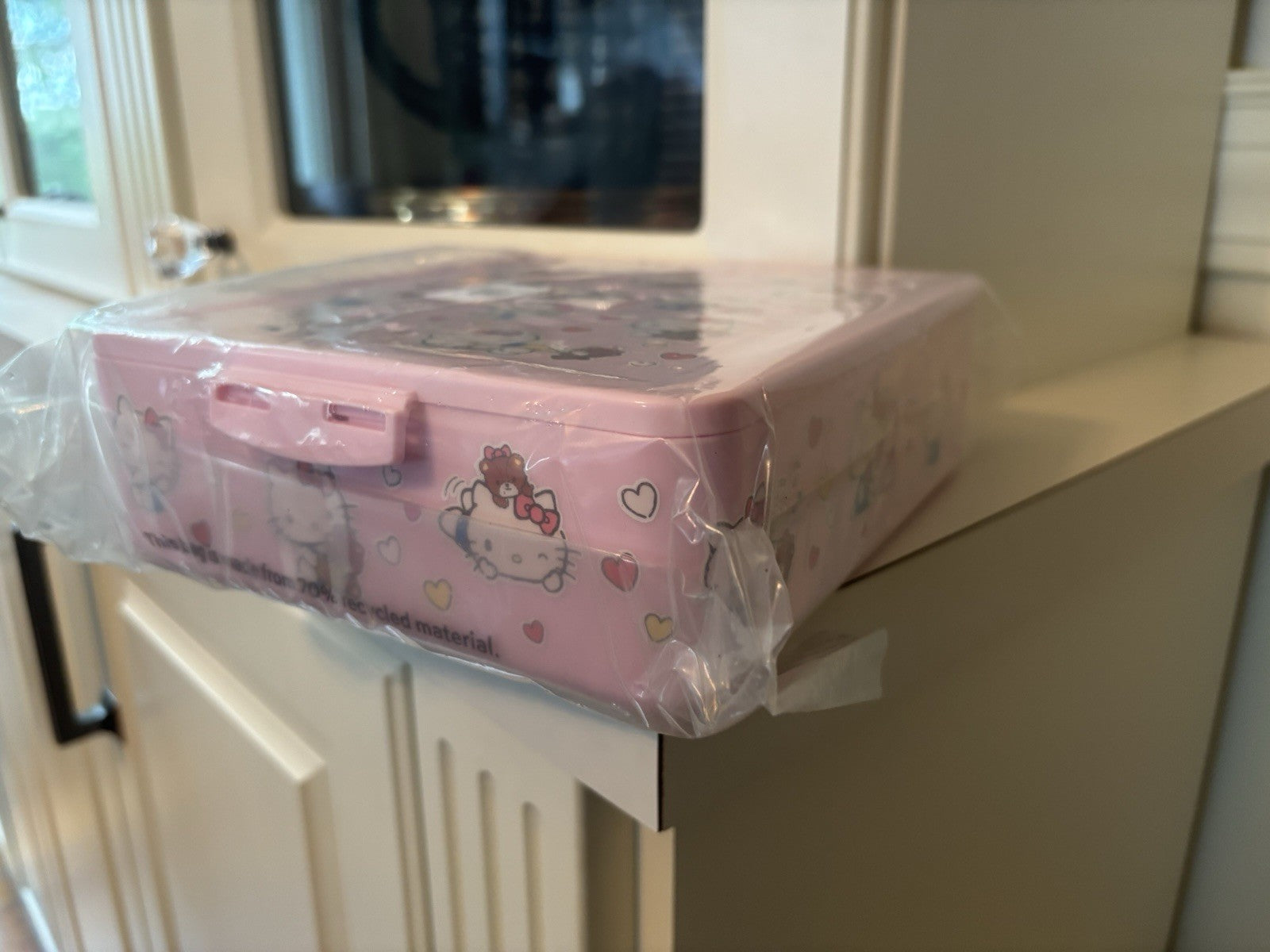 Pottery barn school Snoopy LUNCH BOX+ HELLO KITTY BENTO Disney travel girl cat
