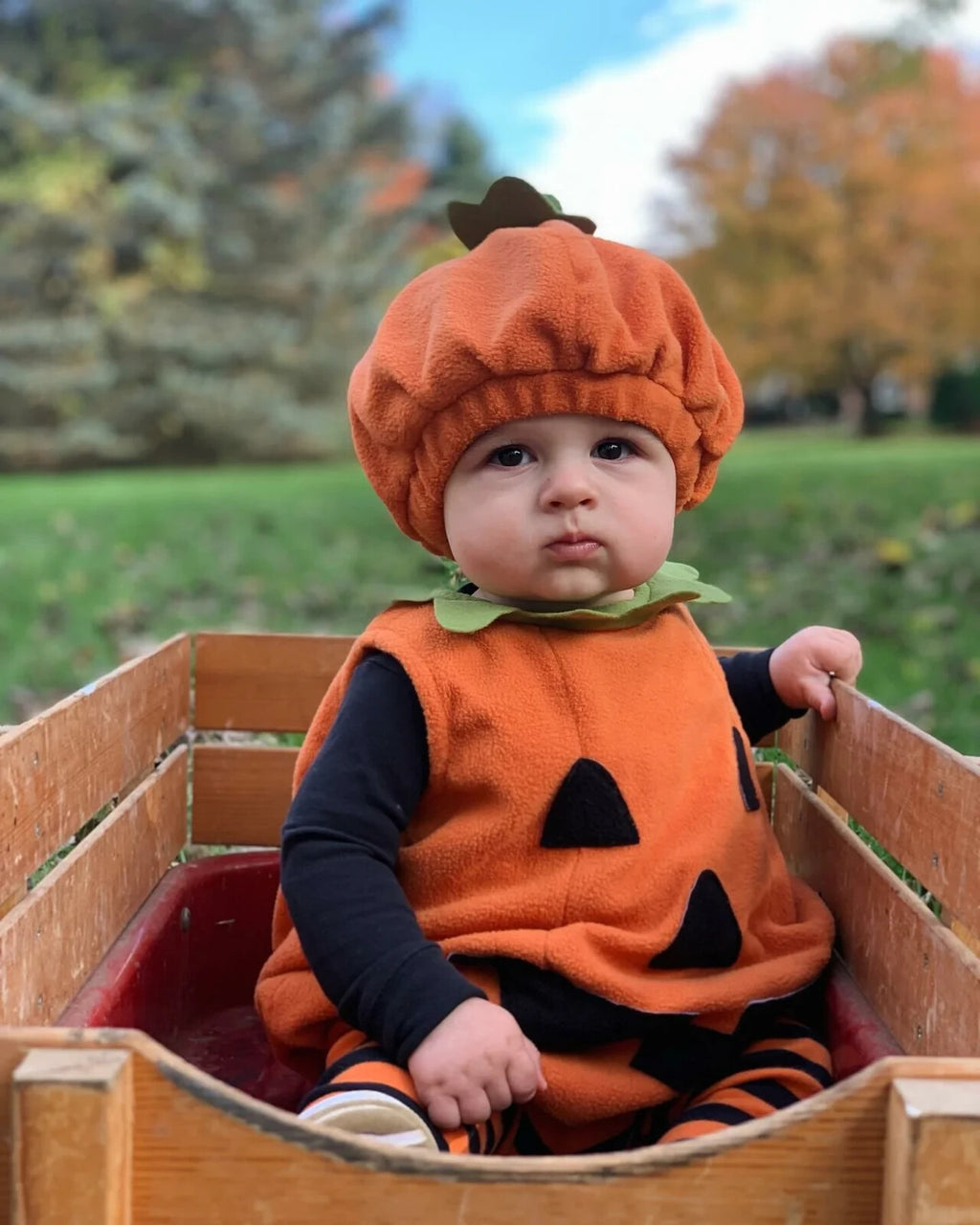 Disney Pottery Barn 3-6  Month Pumpkon costume Set baby infant Halloween party -