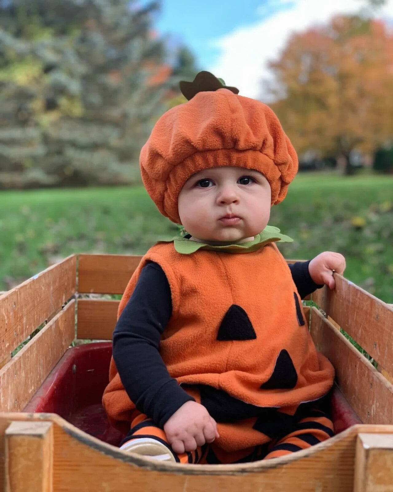 Disney Pottery Barn 3-6  Month Pumpkon costume Set baby infant Halloween party -