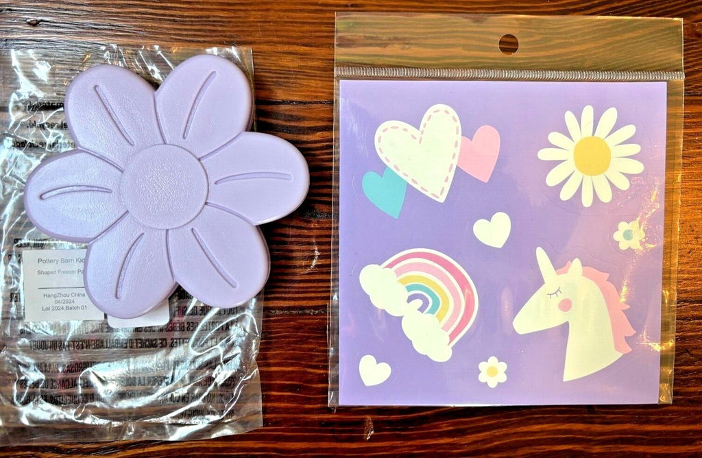 Pottery Barn School ICE Pack bag Dinosaur princess unicorn ball space rainbow `