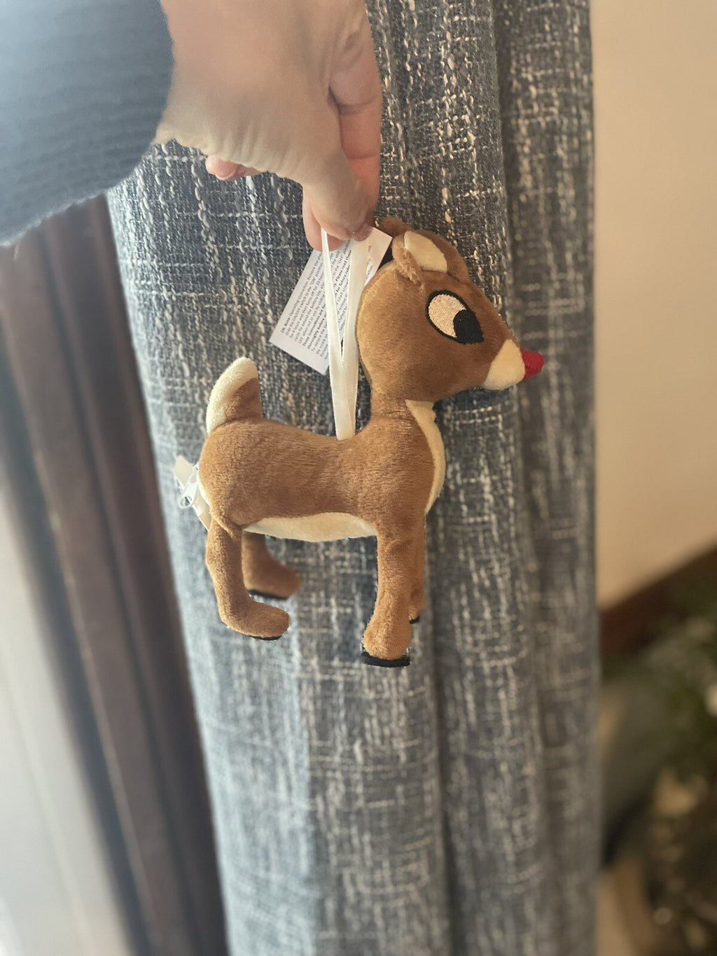Pottery Barn Christmas Holiday Rudolph Ornament gift party Disney kid '
