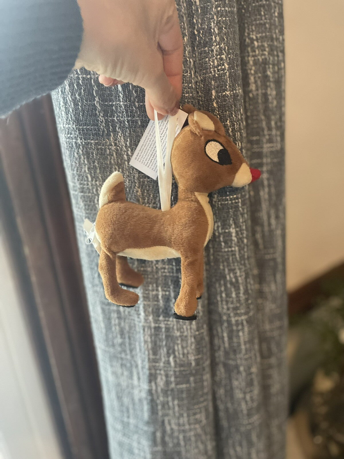 Pottery Barn Christmas Holiday Rudolph Ornament gift party Disney kid '