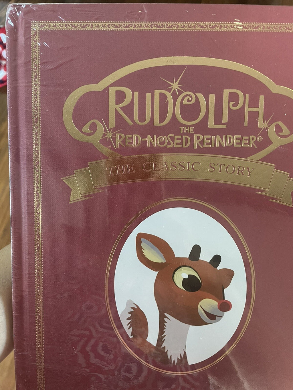 Disney Pottery Barn kid 50TH Rudolph Reindeer Christmas book holiday gift toy '