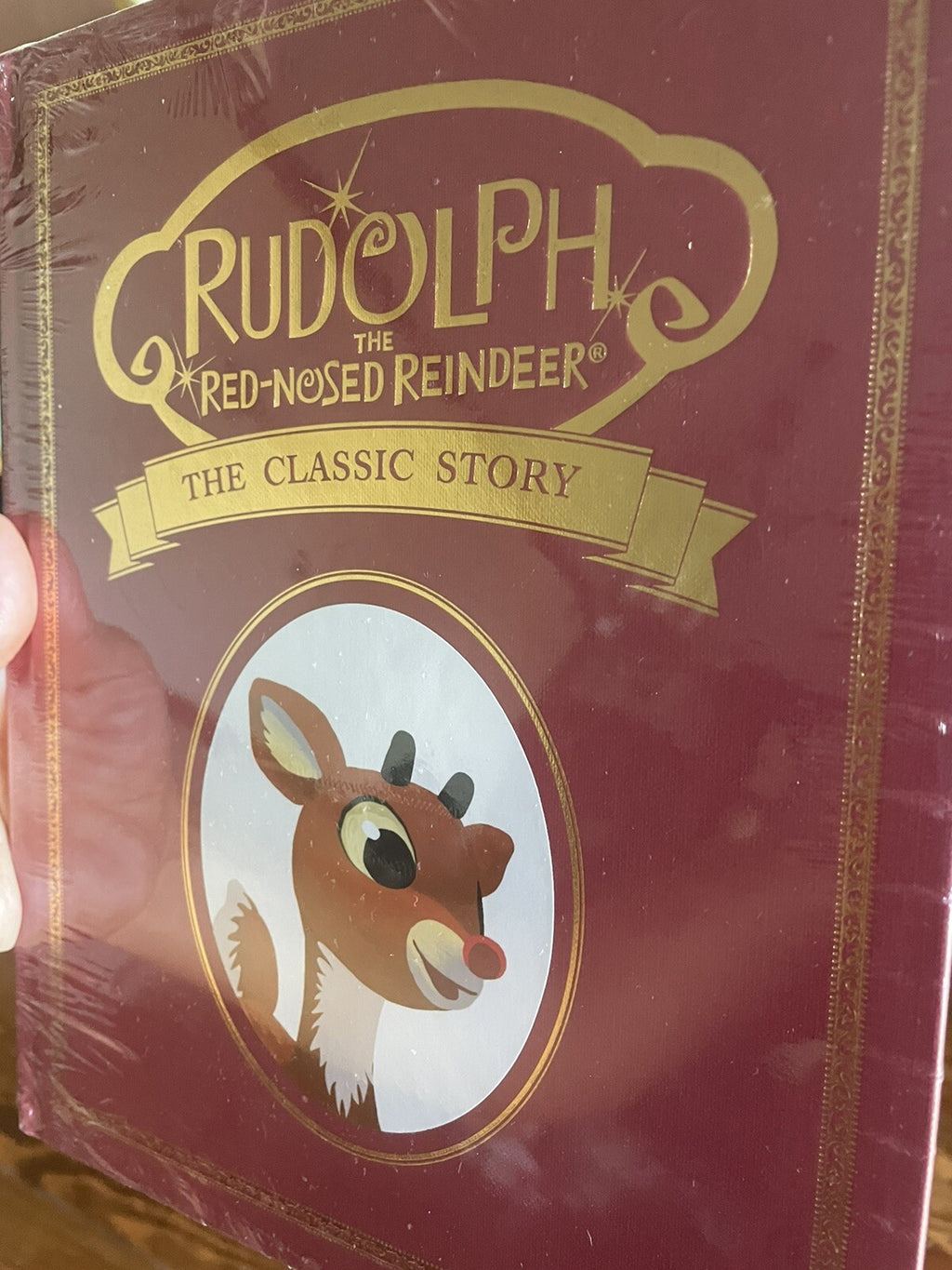 Disney Pottery Barn kid 50TH Rudolph Reindeer Christmas book holiday gift toy '