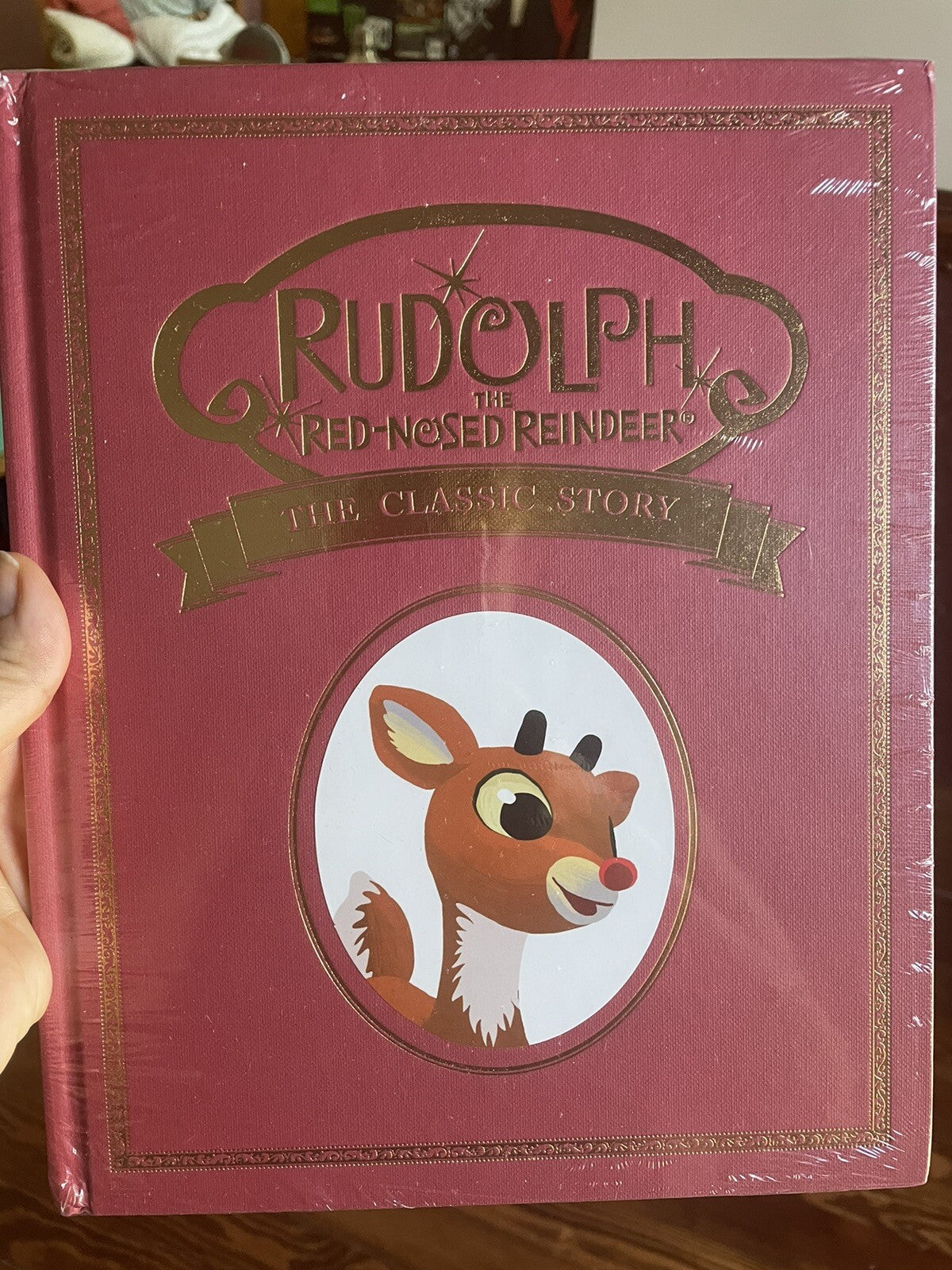 Disney Pottery Barn kid 50TH Rudolph Reindeer Christmas book holiday gift toy '