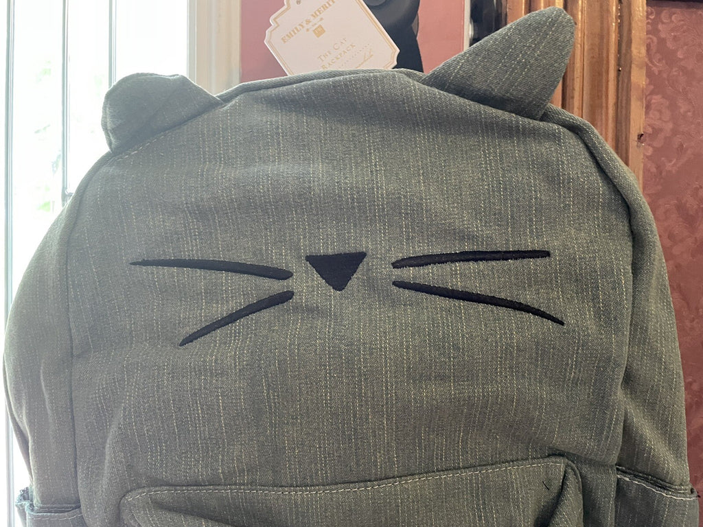 Pottery barn Disney School LARGE BACKPACK LUNCH TRAVEL Rainbow kitty bag ?? [