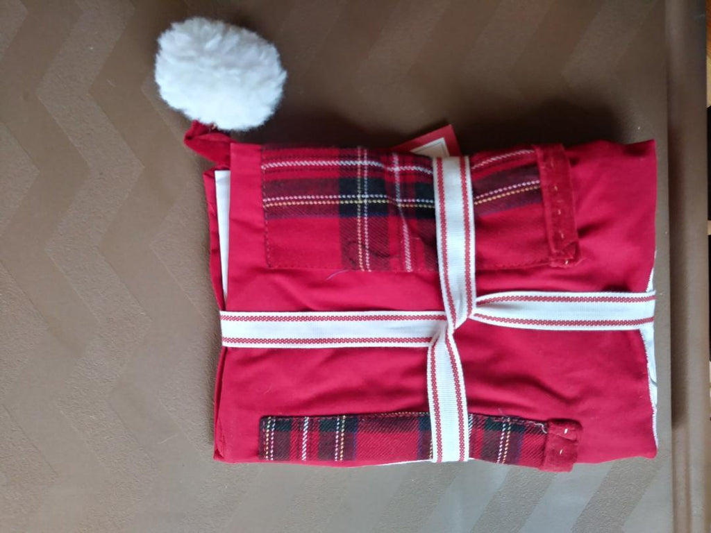 Pottery Barn holiday Apron Santa Disney gift Christmas school kid birthday '