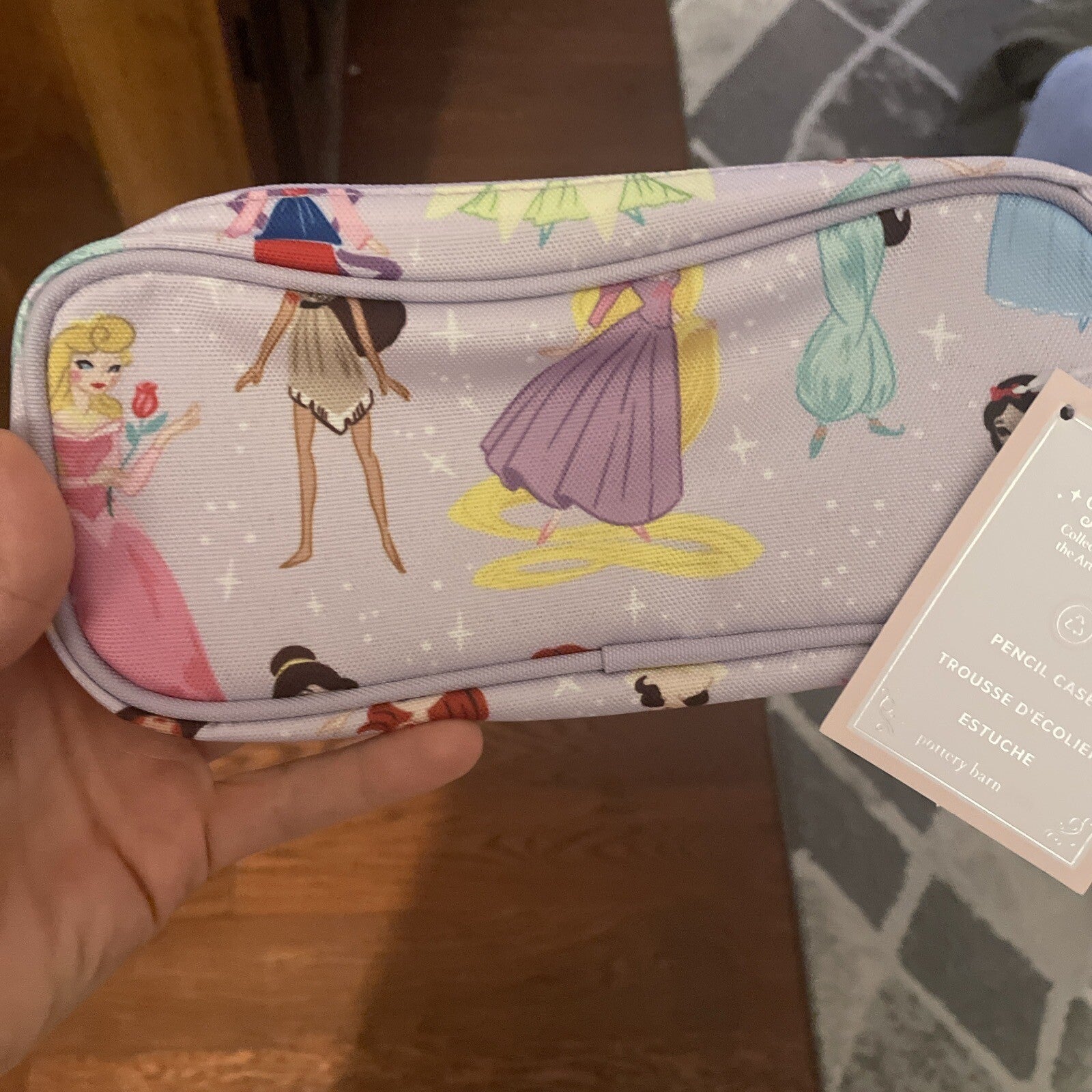 Pottery Barn Disney School Pre k  Princess girl Cinderella Belle Birthday?? /
