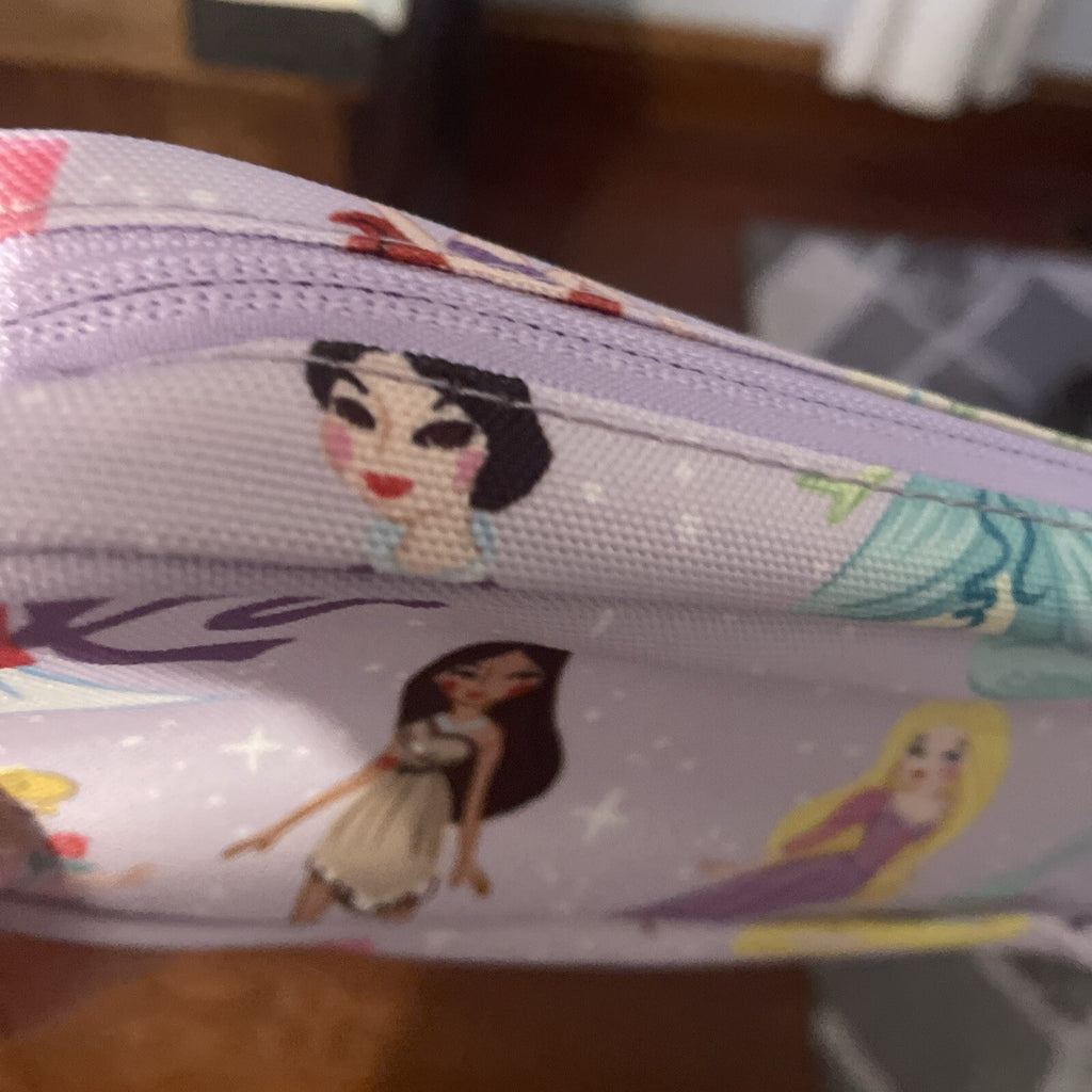 Pottery Barn Disney School Pre k  Princess girl Cinderella Belle Birthday?? /