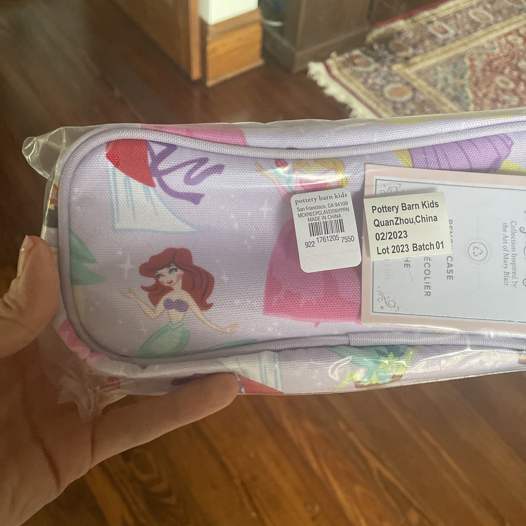 Pottery Barn Disney School Pre k  Princess girl Cinderella Belle Birthday?? /